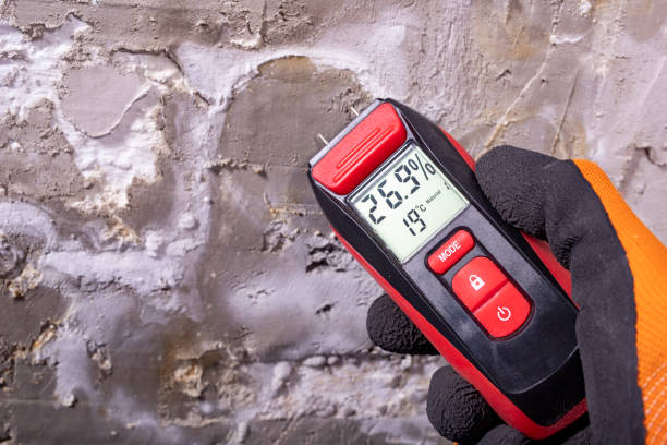Home Mold Removal in Margaret, AL