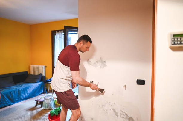 Best Mold Damage Repair  in Margaret, AL